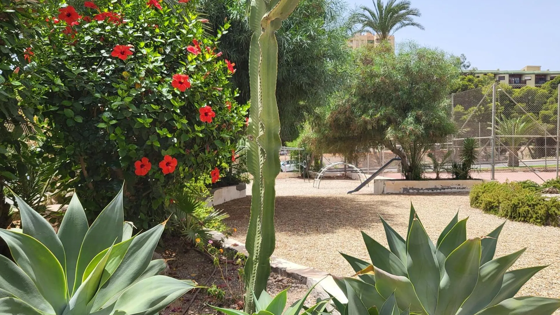Loft Soul & Sea Appartement Aguadulce
